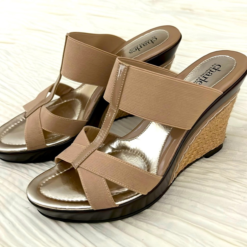 Charles David platform shoes